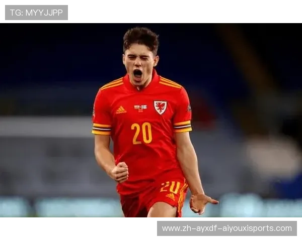 威尔士有哪些球队曾参加英超?跨国联赛分析